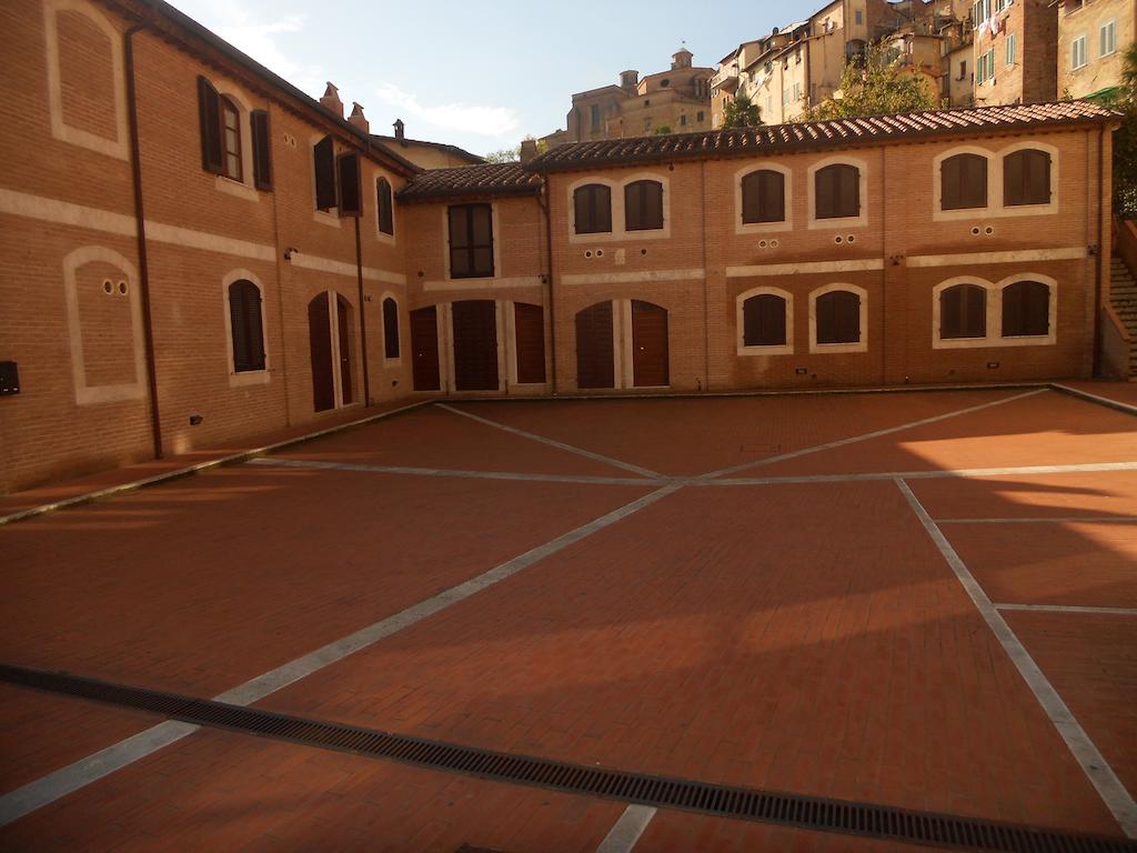 La Primula Siena