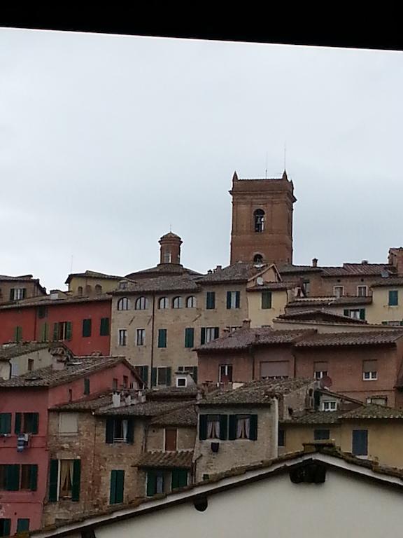 La Primula * Siena