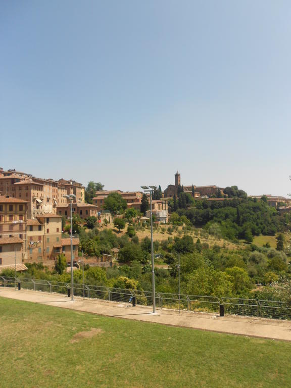 La Primula * Siena