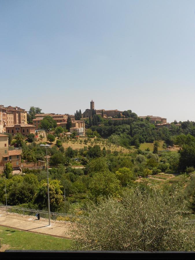 La Primula Siena